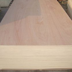 Beech Plywood For Sale