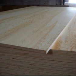 Pine Plywood For Sale